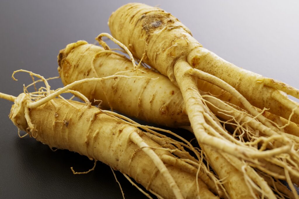 漢方　高麗人参