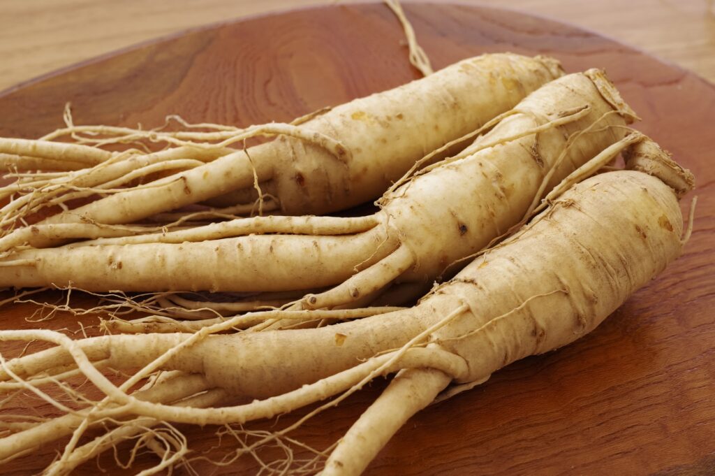 高麗人参　サポニン