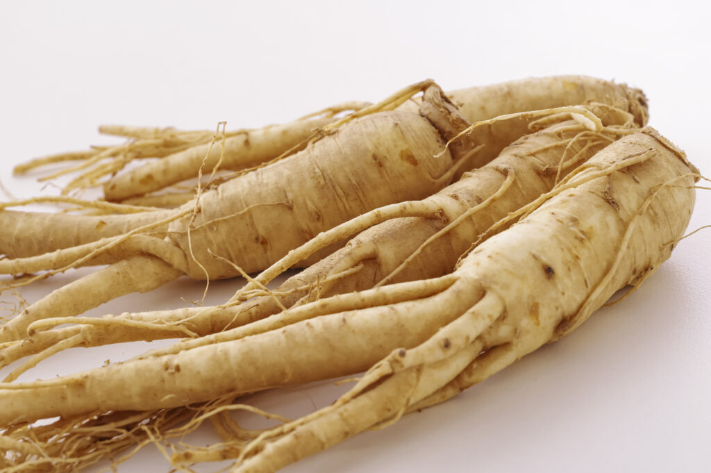 高麗人参　冷え性改善