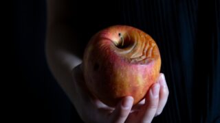 抗酸化　サプリメント　高麗人参